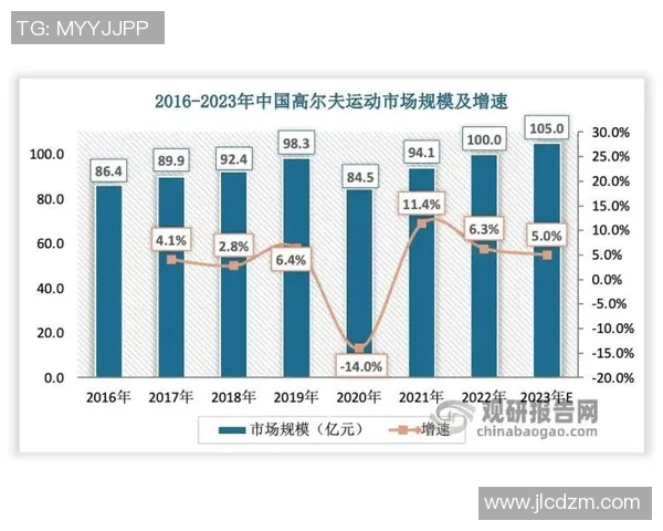 广州羽毛球队个人能力深度解析与发展探讨 广州羽毛球队个人能力深度解析与发展探讨