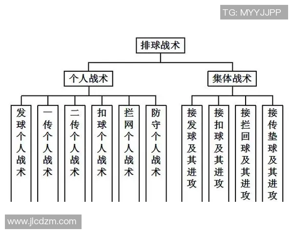 杭州排球队快攻战术深度分析与实战应用探讨 杭州排球队快攻战术深度分析与实战应用探讨